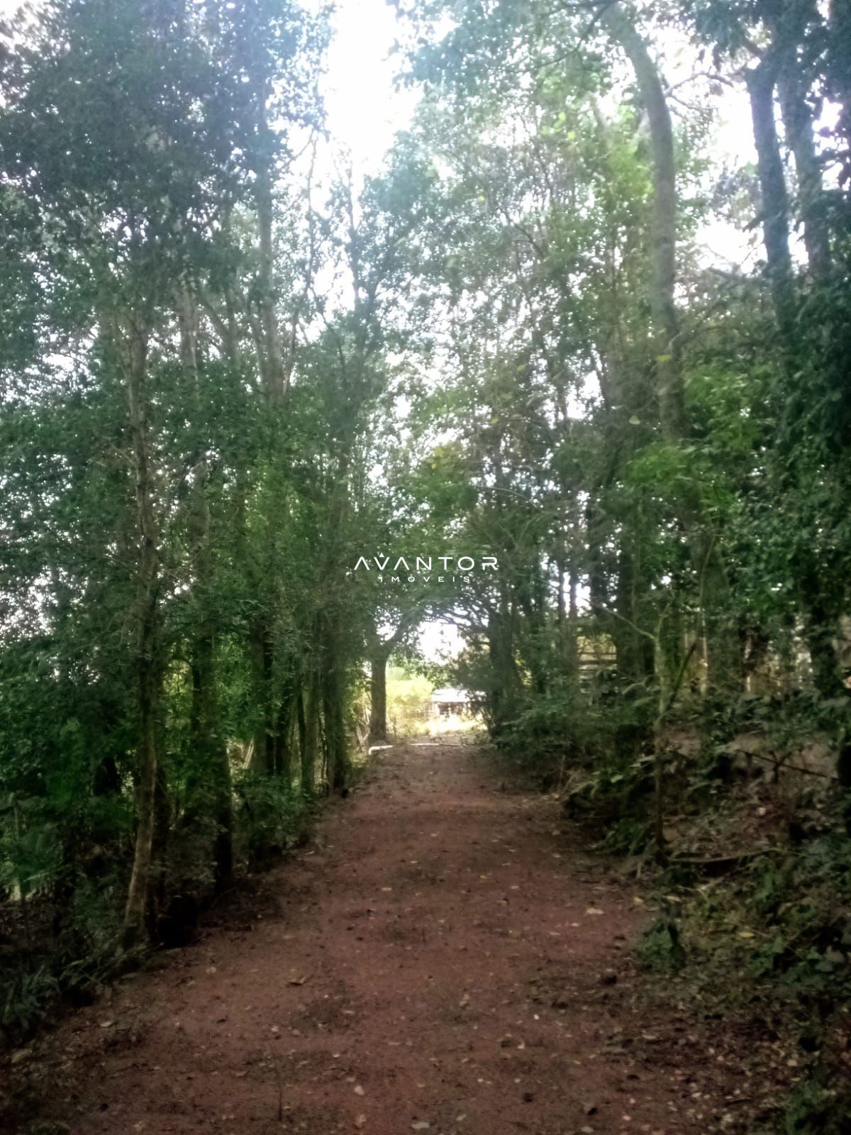 Chácara com 6 quartos à venda em Zona Rural, São Pedro do Sul/RS — foto 8 de 10