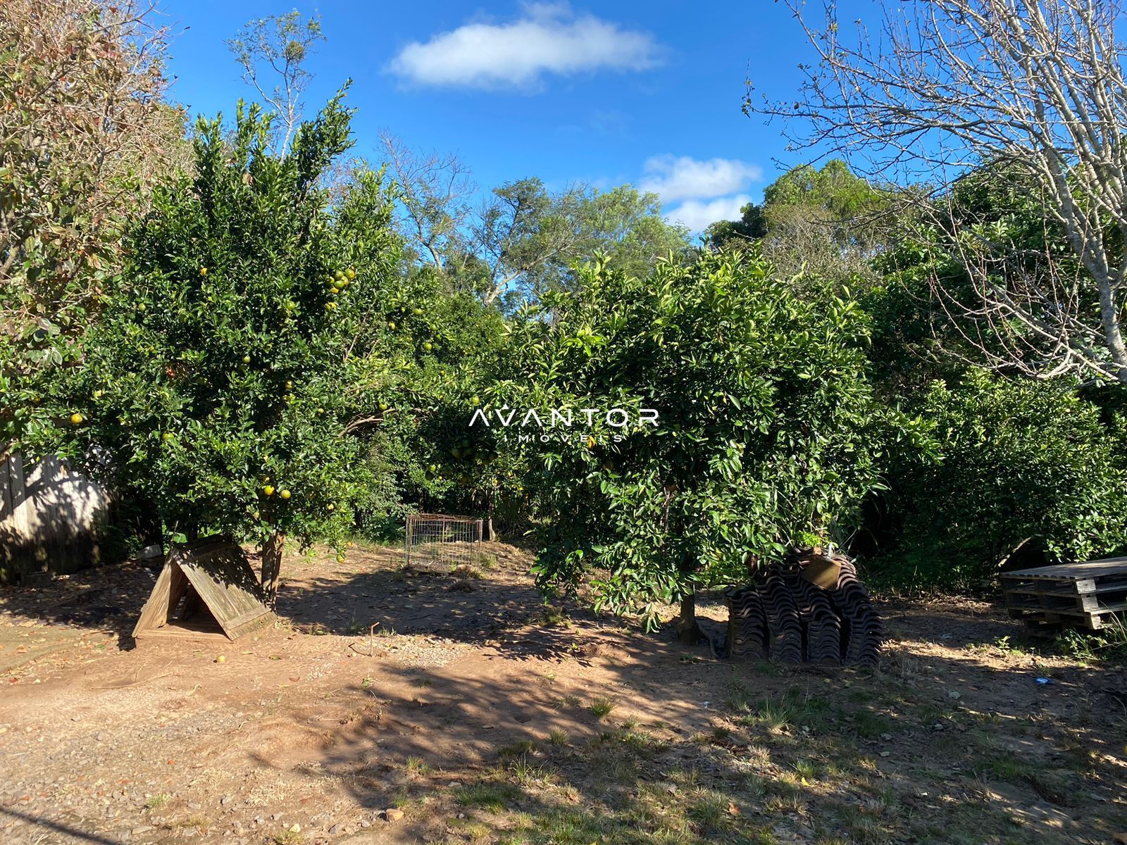 Chácara com 2 quartos à venda em Palma, Santa Maria/RS — foto 4 de 15