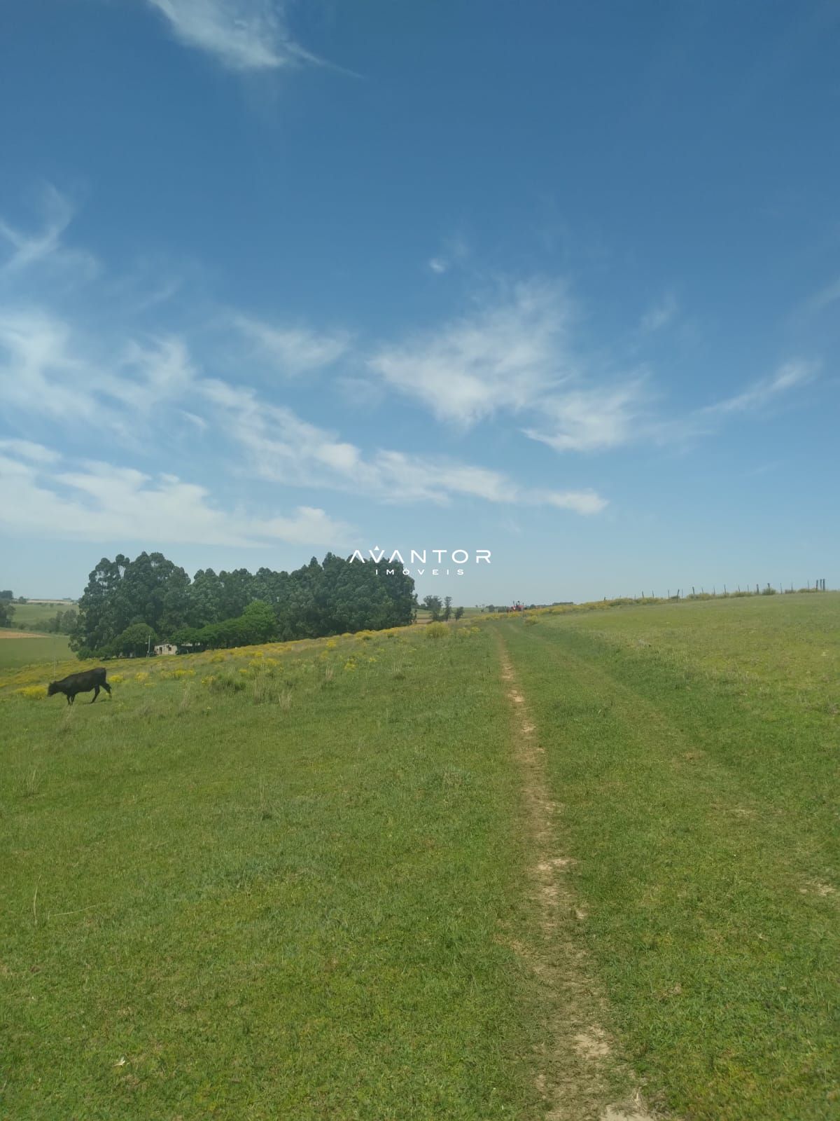 Campo à venda em Interior, São Gabriel/RS — foto 6 de 6