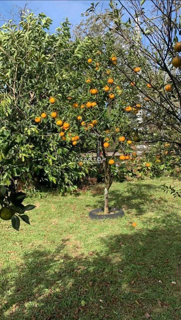 Chácara com 2 quartos à venda em Km 23, Itaara/RS — foto 10 de 12
