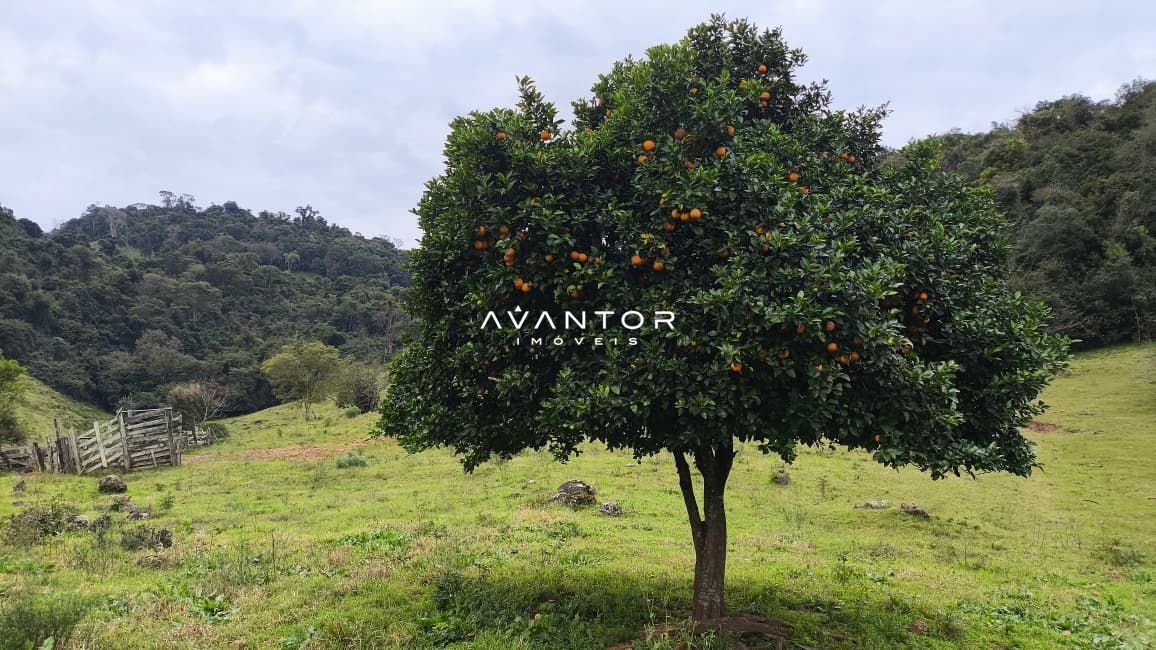 Campo à venda em Zona rural, Toropi/RS — foto 7 de 8