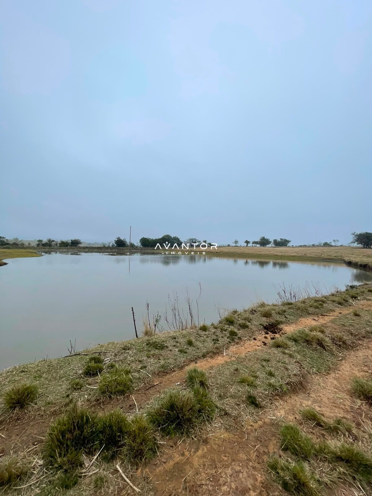 Fazenda com 3 quartos à venda em Zona rural, Santana da Boa Vista/RS — foto 3 de 13
