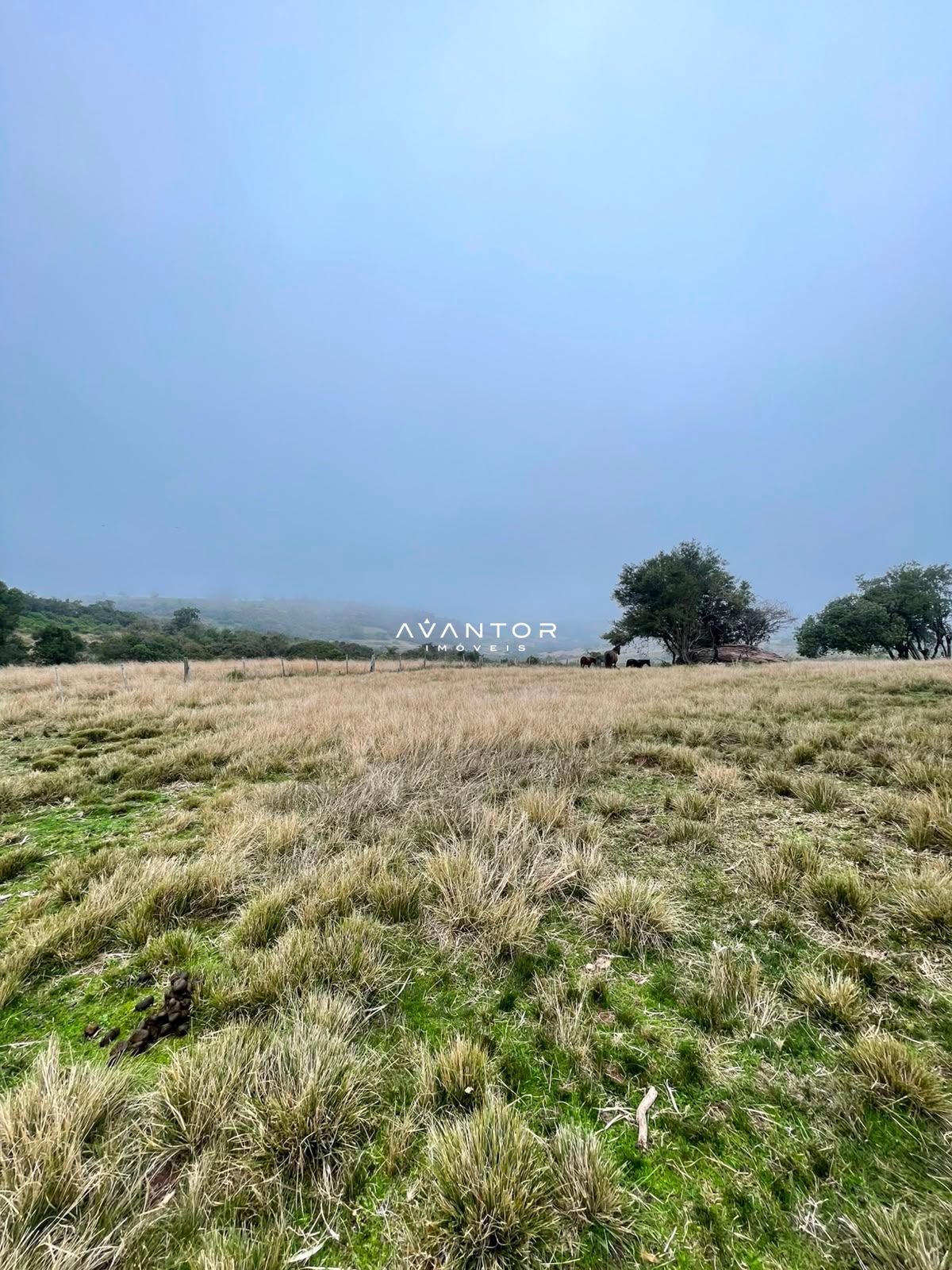 Fazenda com 3 quartos à venda em Zona rural, Santana da Boa Vista/RS — foto 5 de 13