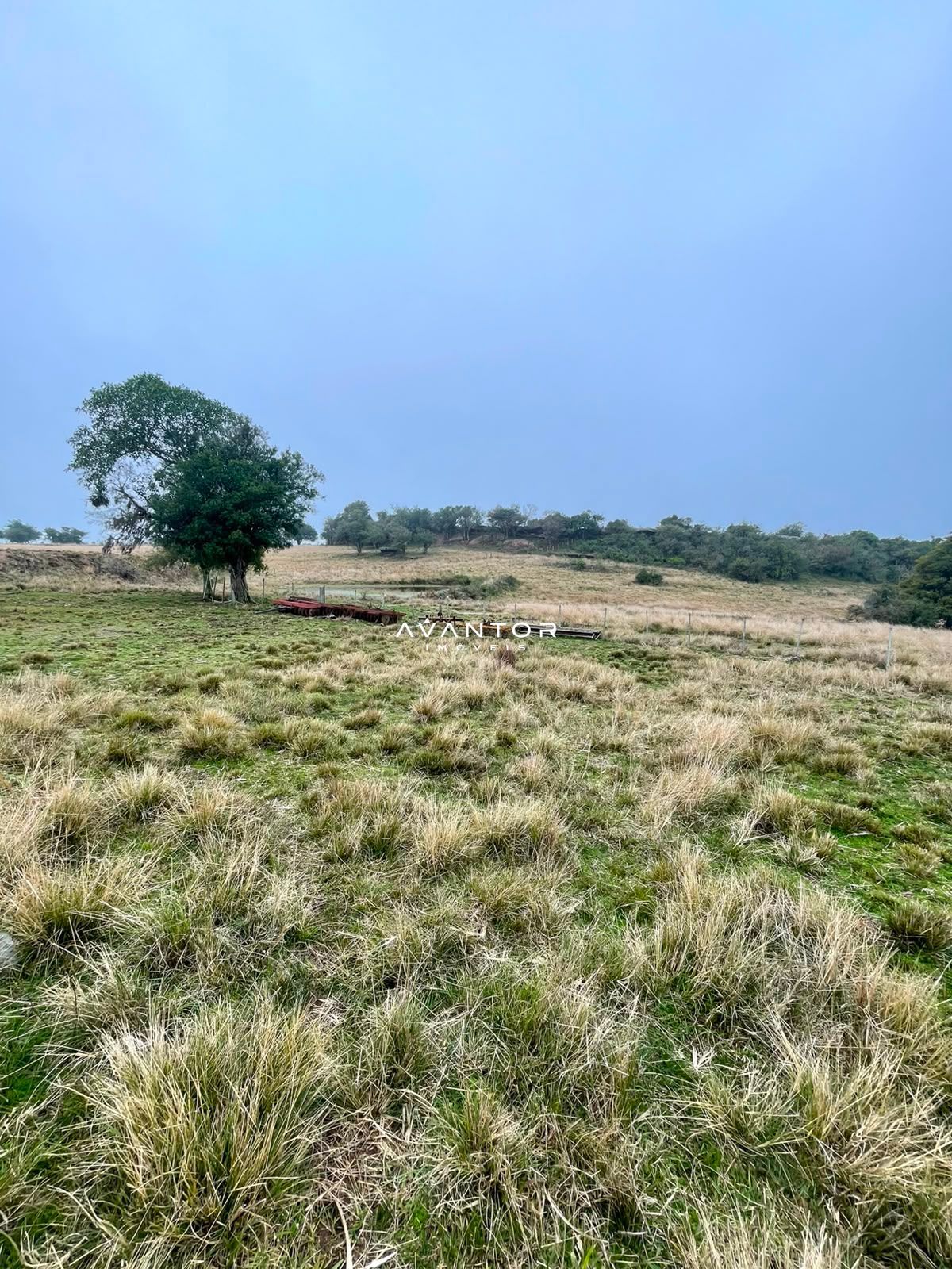 Fazenda com 3 quartos à venda em Zona rural, Santana da Boa Vista/RS — foto 8 de 13