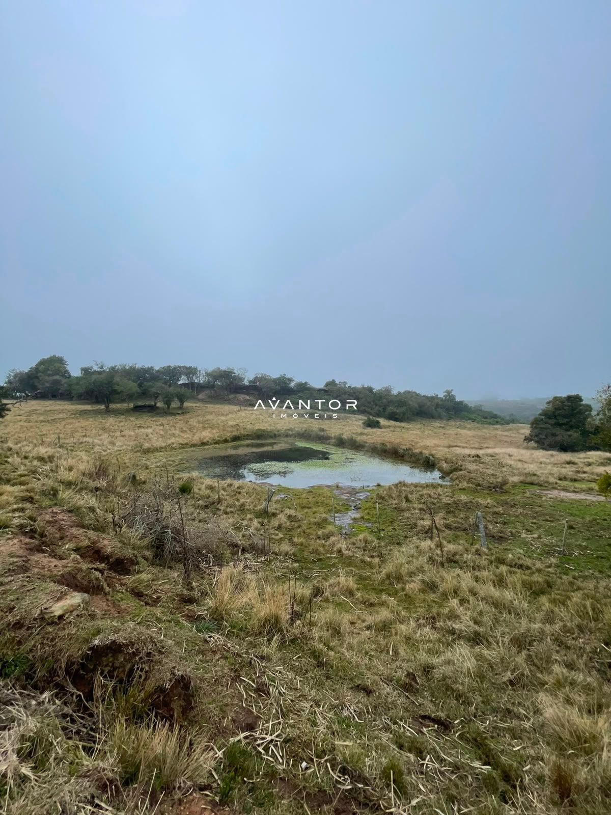 Fazenda com 3 quartos à venda em Zona rural, Santana da Boa Vista/RS — foto 13 de 13