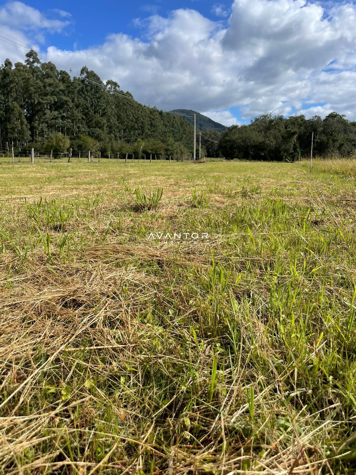 Terreno à venda em Arroio Grande, Santa Maria/RS — foto 3 de 3