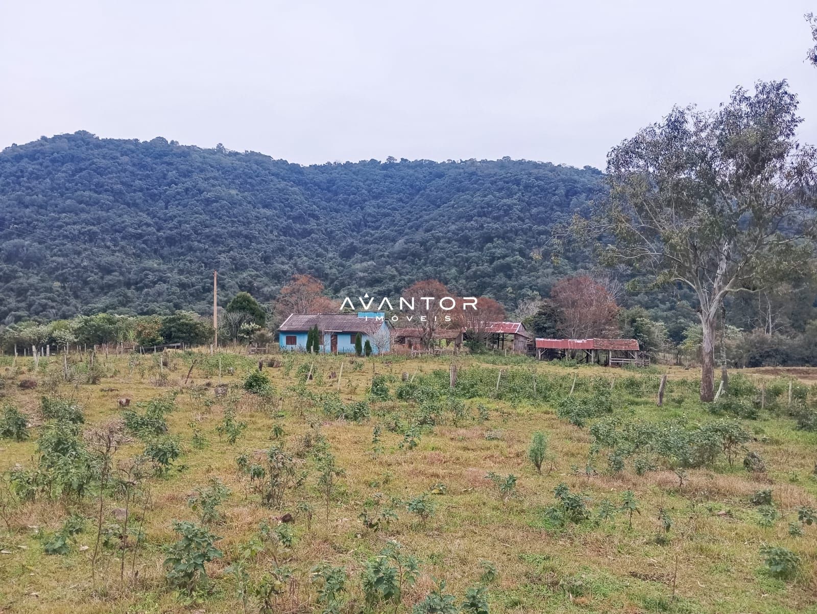Campo à venda em Zona rural, Toropi/RS — foto 3 de 11