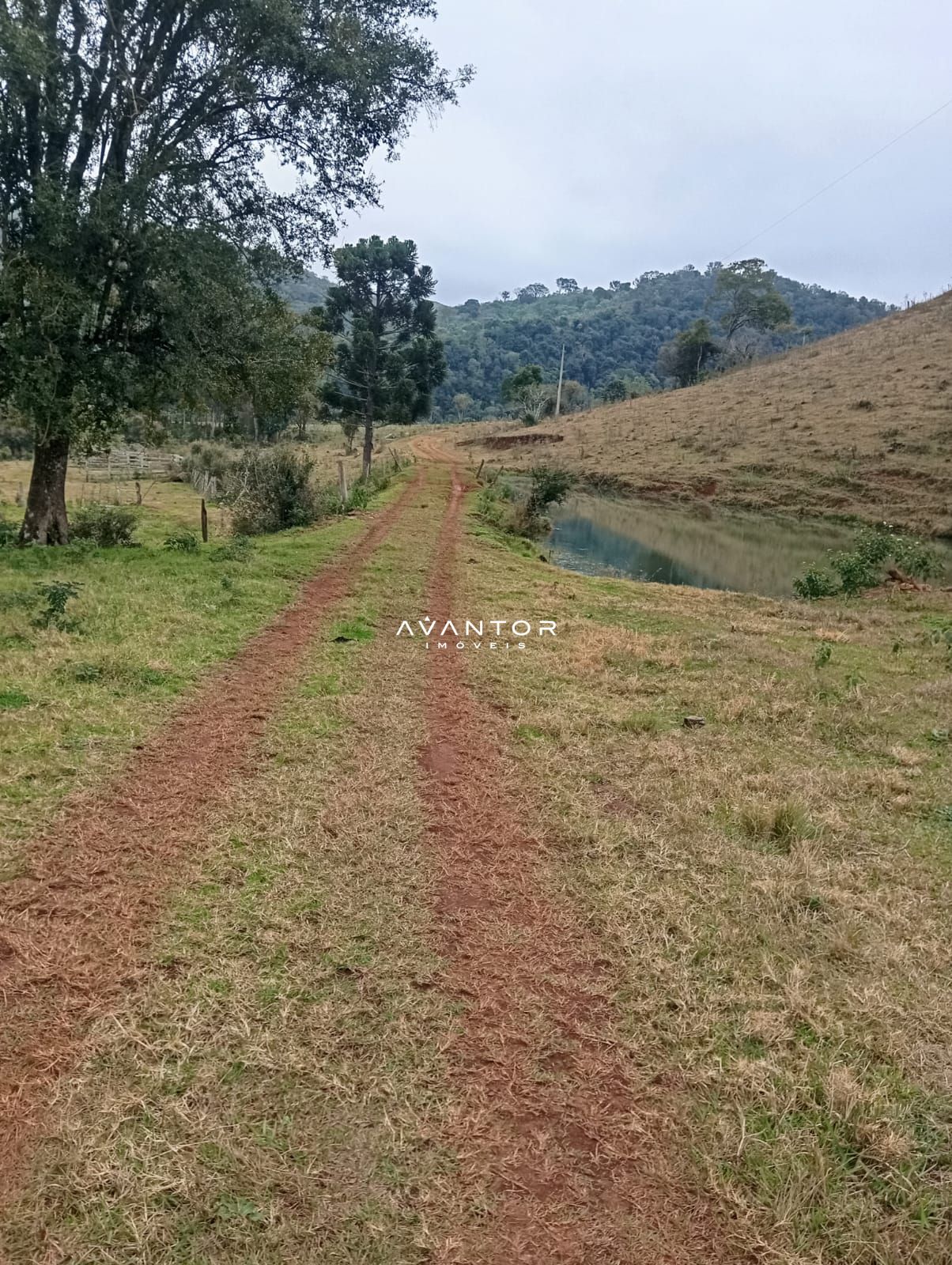 Campo à venda em Zona rural, Toropi/RS — foto 5 de 11