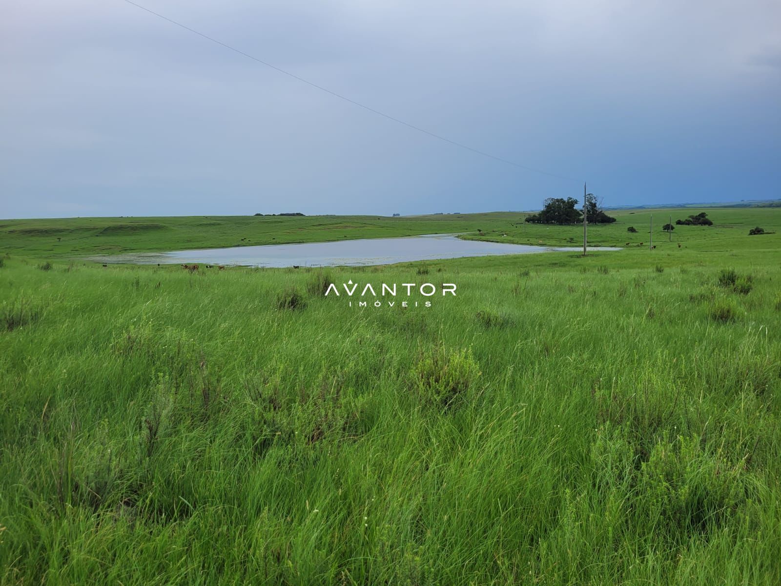 Campo à venda em Balneário Caverá, Alegrete/RS — foto 4 de 10