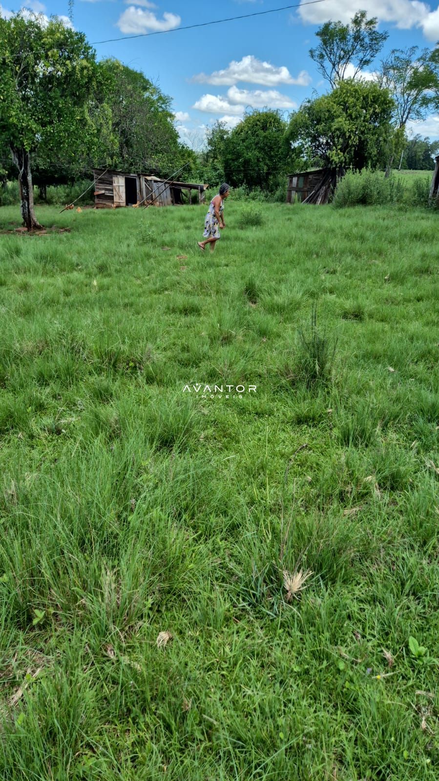 Campo à venda em Balneário Caverá, Alegrete/RS — foto 5 de 10