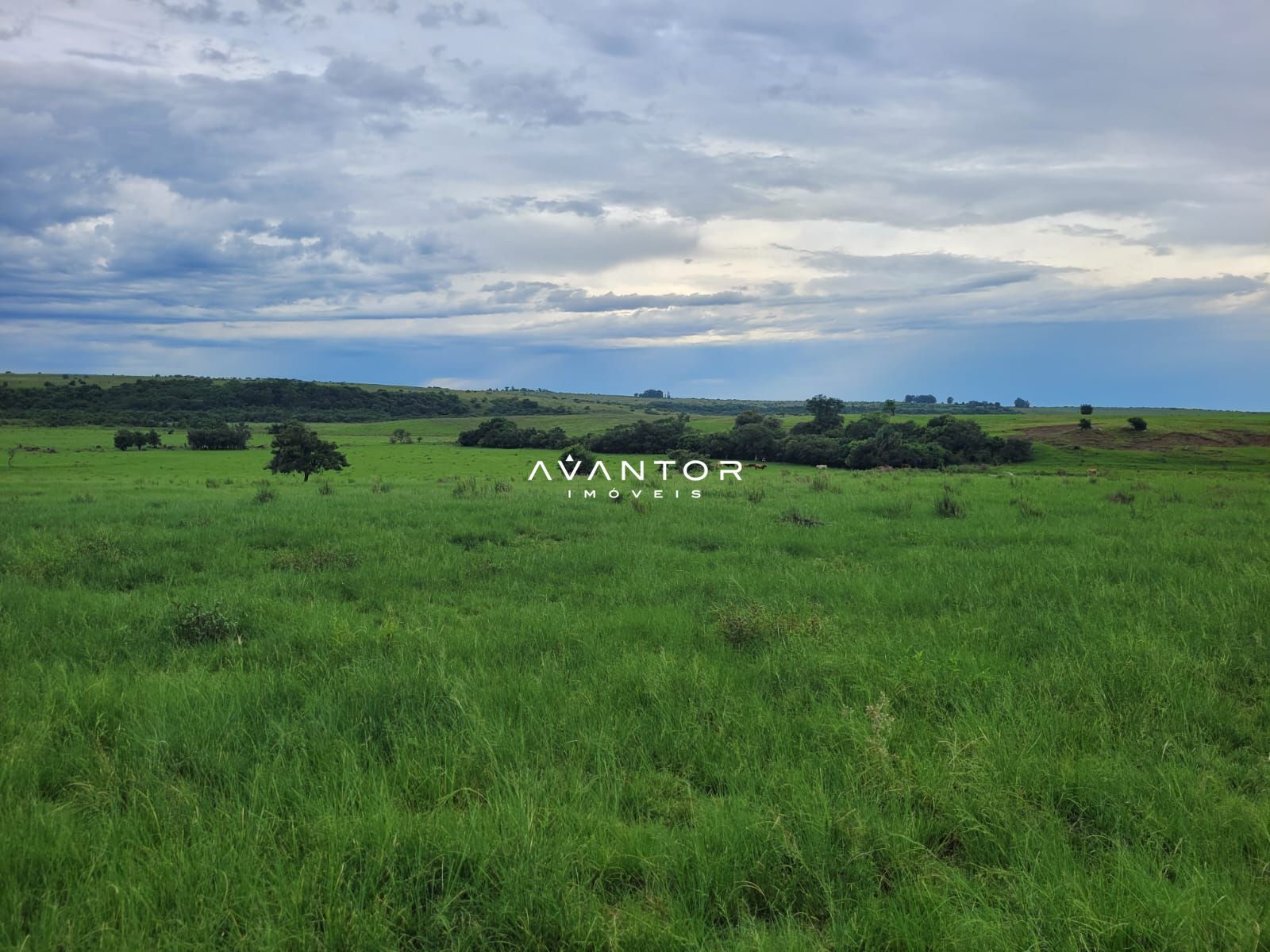 Campo à venda em Balneário Caverá, Alegrete/RS — foto 7 de 10
