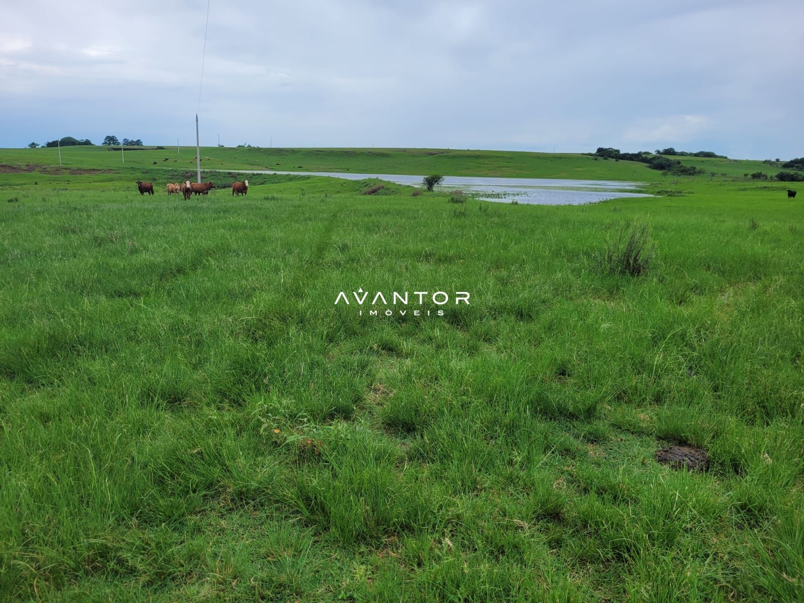 Campo à venda em Balneário Caverá, Alegrete/RS — foto 10 de 10