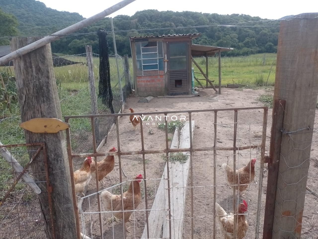 Chácara com 2 quartos à venda em Arroio Grande, Santa Maria/RS — foto 3 de 9