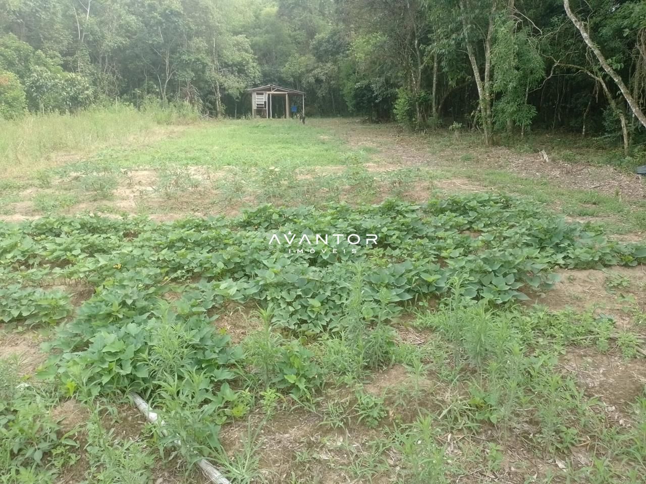 Chácara com 2 quartos à venda em Arroio Grande, Santa Maria/RS — foto 4 de 9