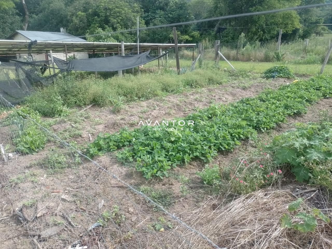 Chácara com 2 quartos à venda em Arroio Grande, Santa Maria/RS — foto 5 de 9