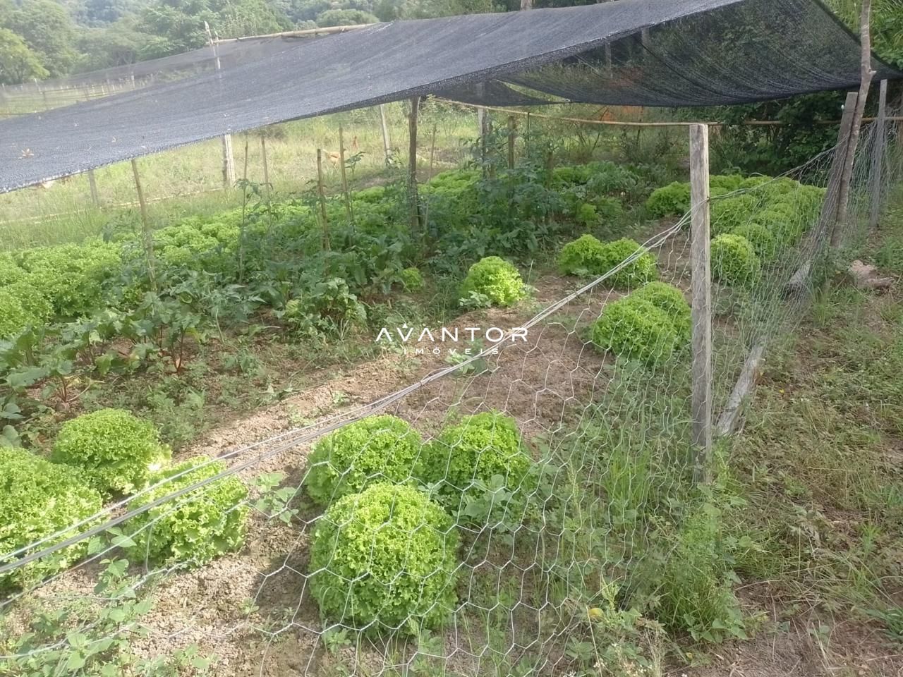Chácara com 2 quartos à venda em Arroio Grande, Santa Maria/RS — foto 6 de 9