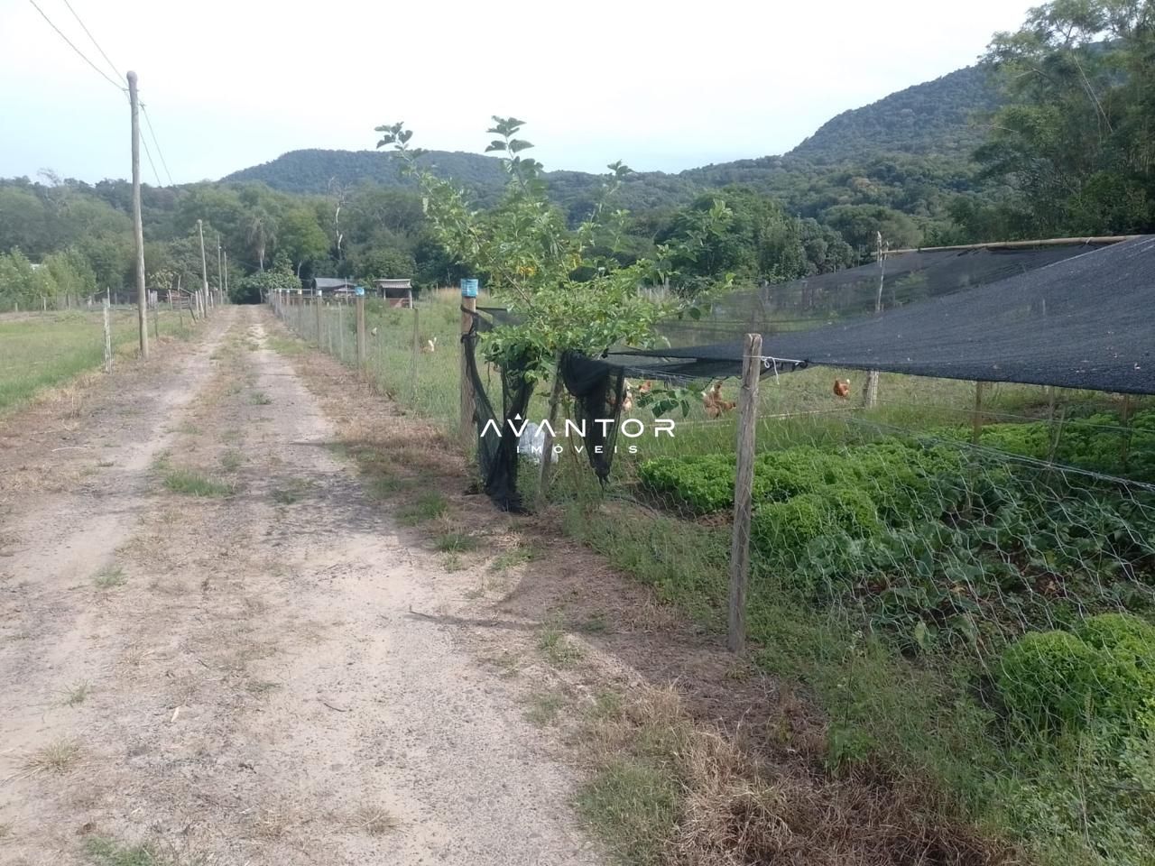 Chácara com 2 quartos à venda em Arroio Grande, Santa Maria/RS — foto 7 de 9