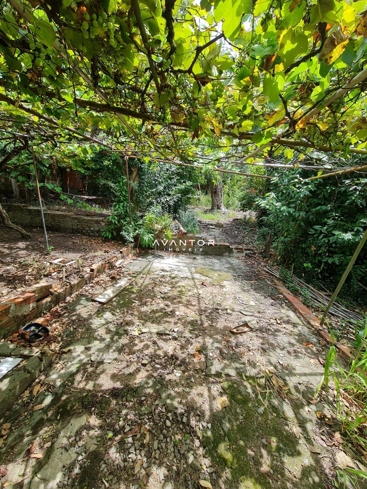 Terreno à venda em Nossa Senhora de Lourdes, Santa Maria/RS — foto 4 de 10