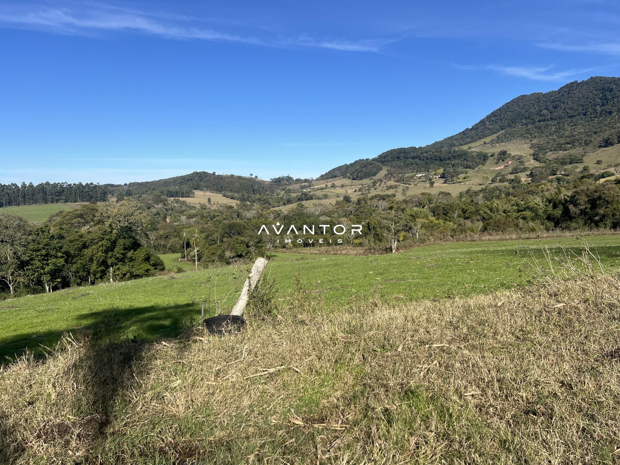 Campo à venda em Zona rural, São João do Polêsine/RS — foto 5 de 8