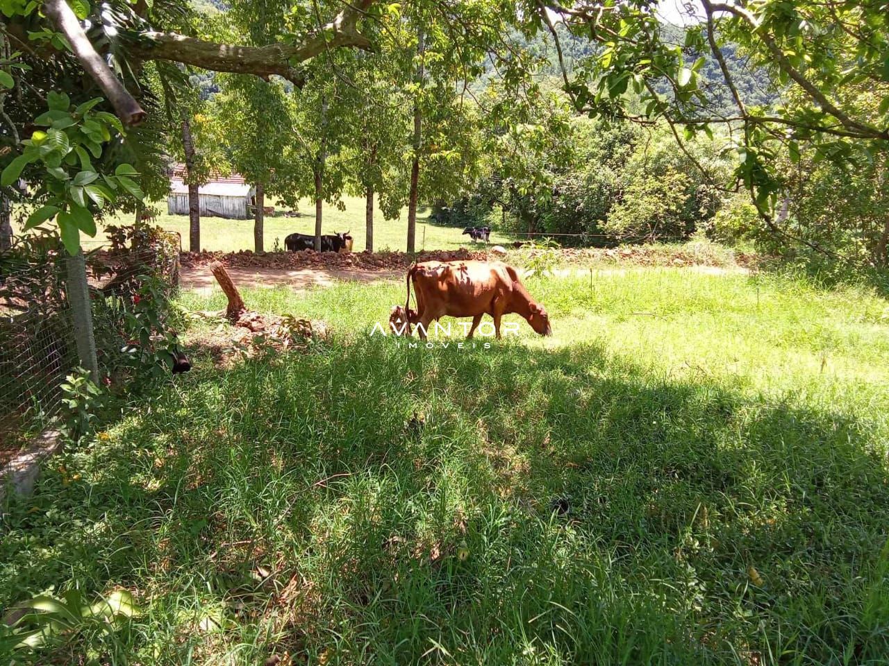 Campo à venda em Braço Forte, Tenente Portela/RS — foto 7 de 9