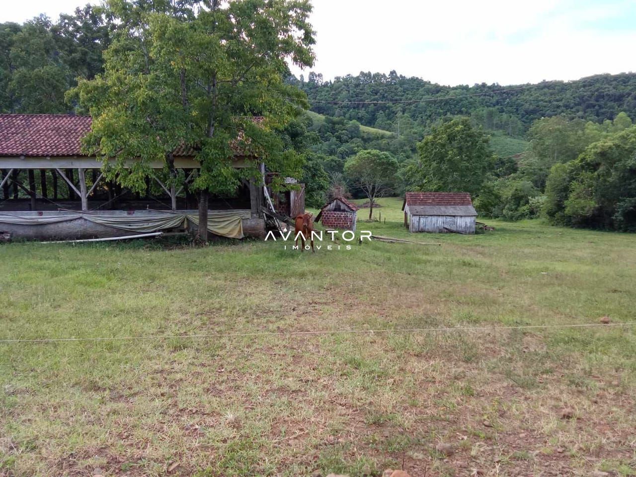 Campo à venda em Braço Forte, Tenente Portela/RS — foto 8 de 9