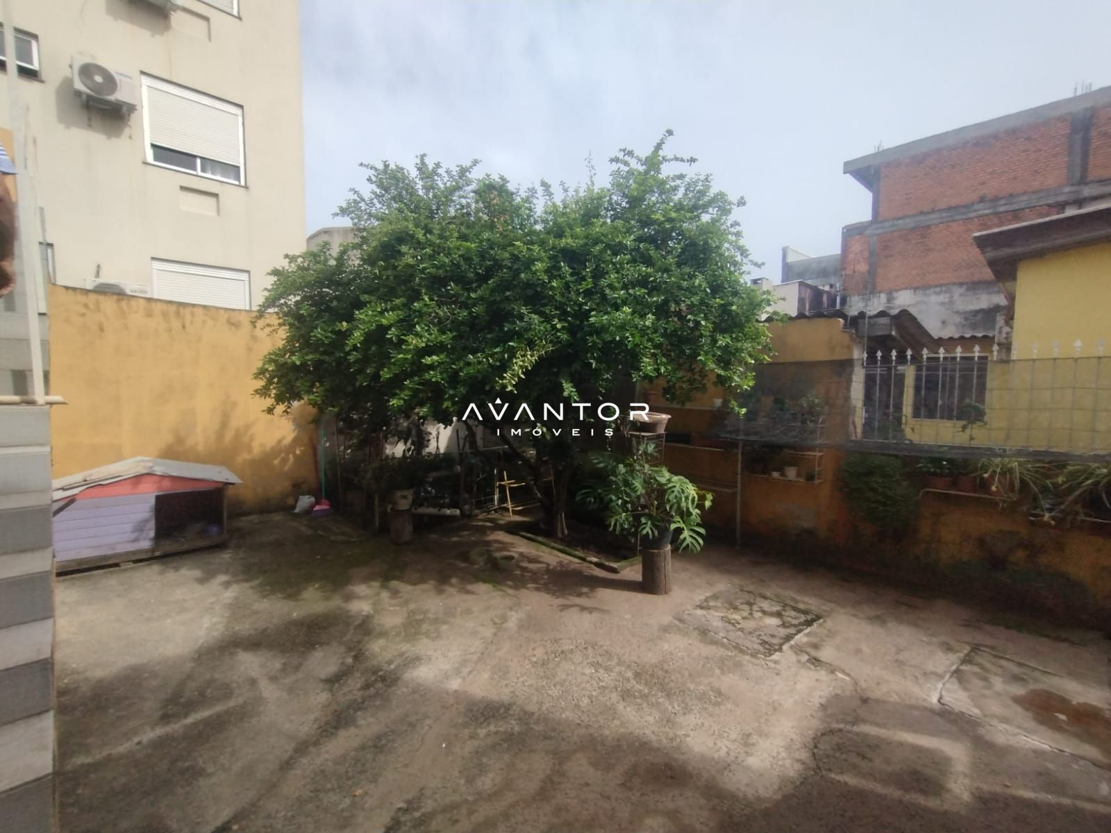 Casa com 4 quartos à venda em Centro, Santa Maria/RS — foto 20 de 23