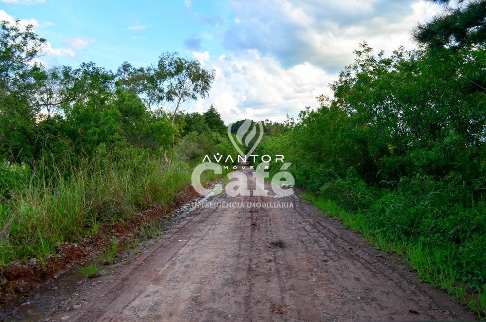 Terreno à venda em Diácono João Luiz Pozzobon, Santa Maria/RS — foto 3 de 3