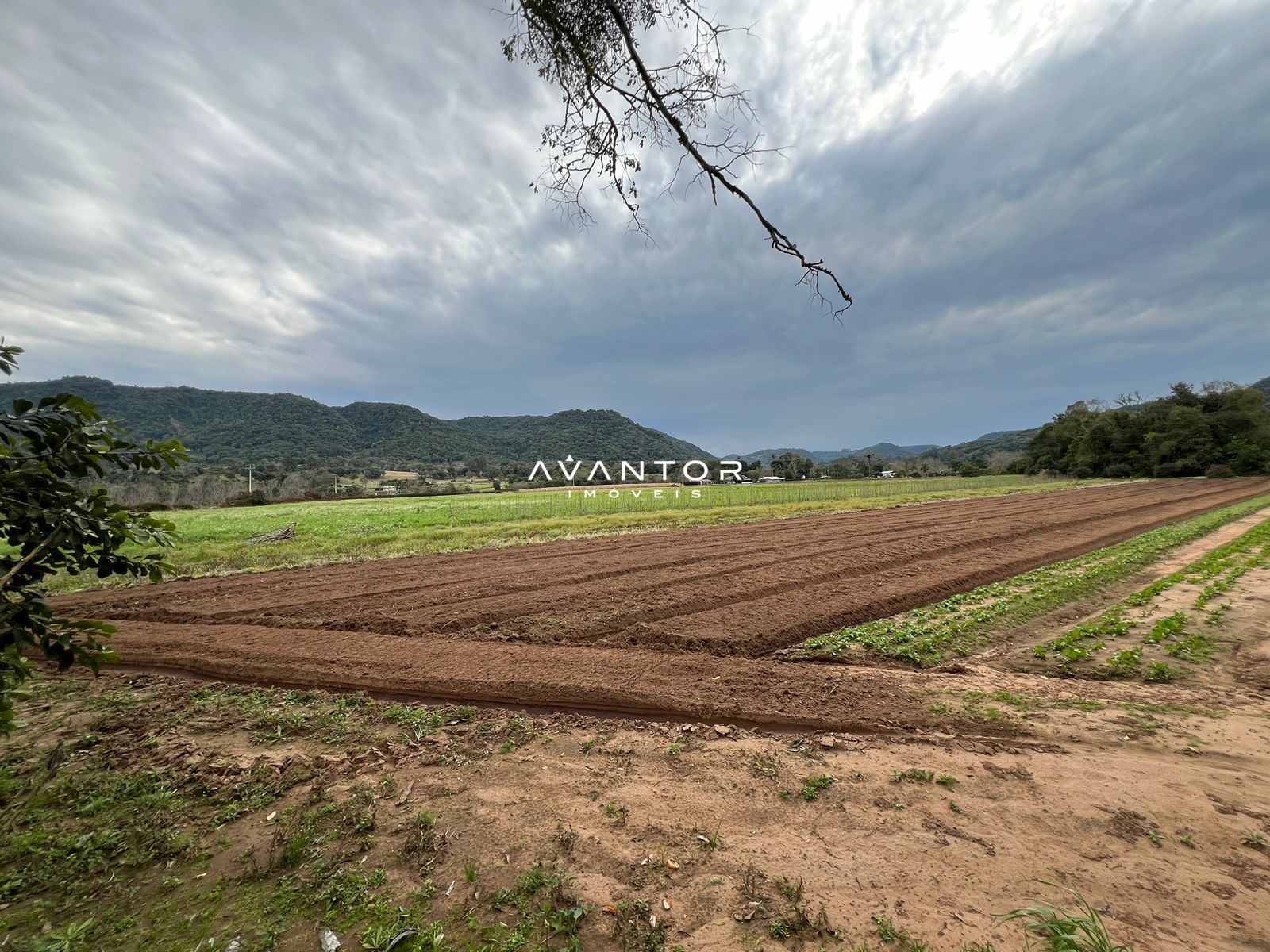 Chácara com 3 quartos à venda em Zona Rural, Arroio Grande/RS — foto 15 de 19