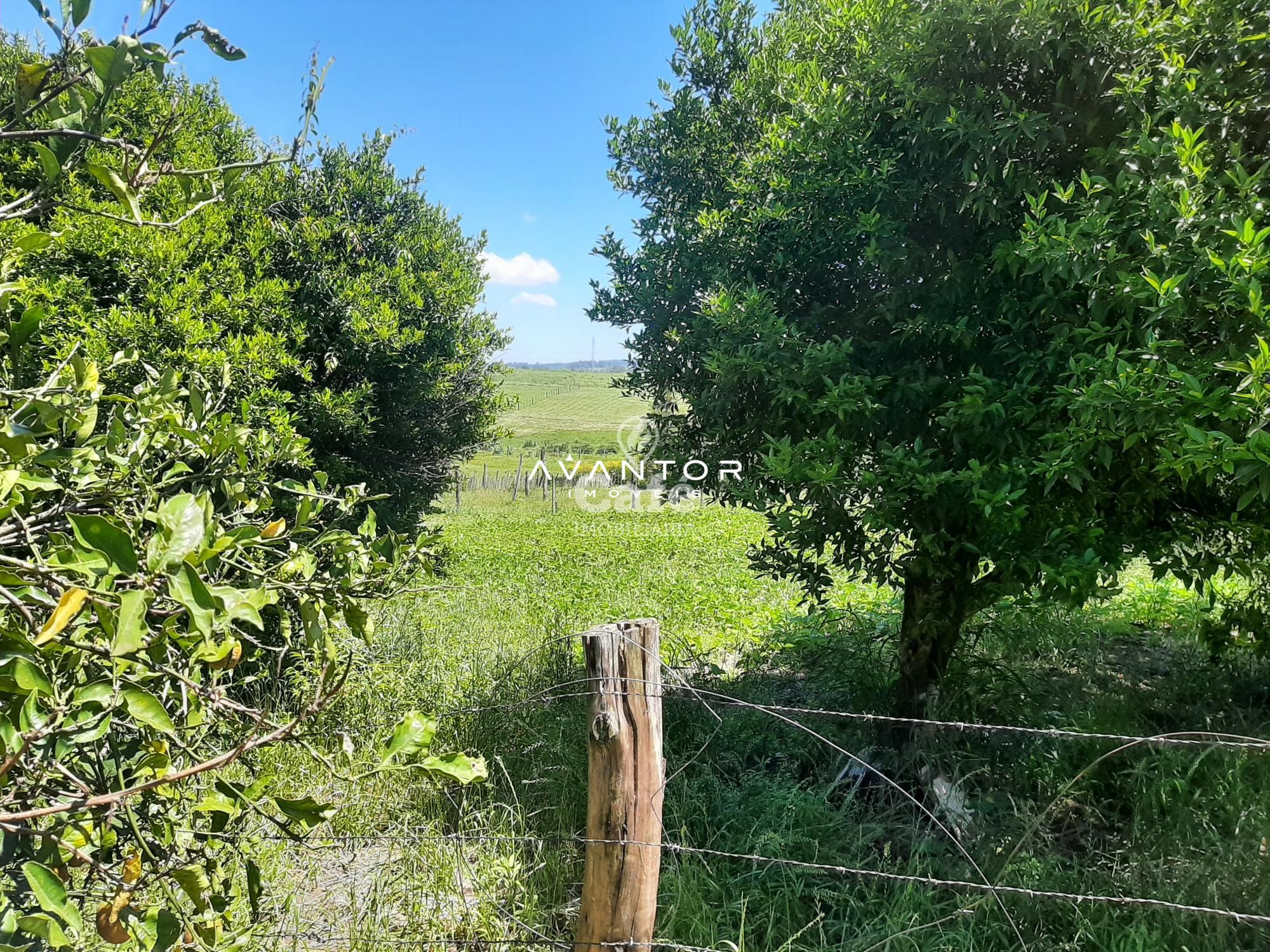 Casa com 3 quartos à venda em Pinheiro Machado, Santa Maria/RS — foto 4 de 5