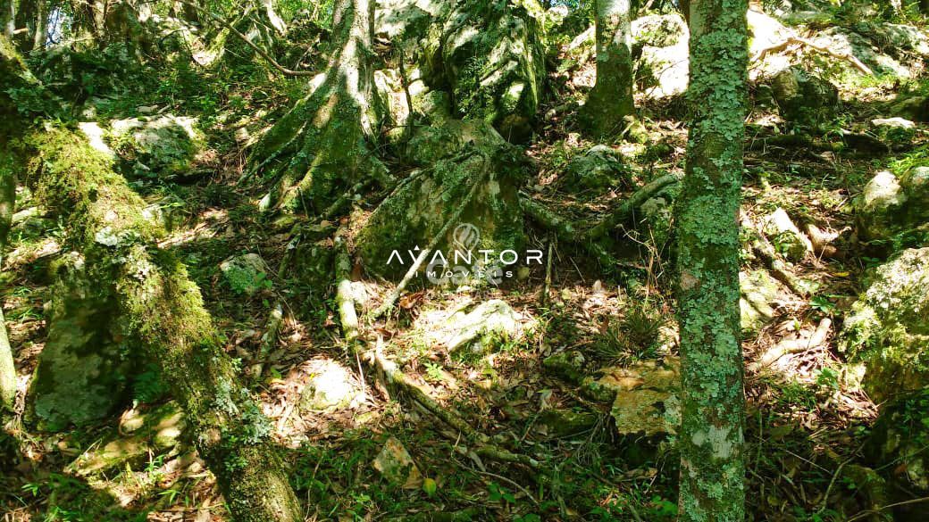 Campo à venda em Zona rural, Vila Nova do Sul/RS — foto 6 de 8