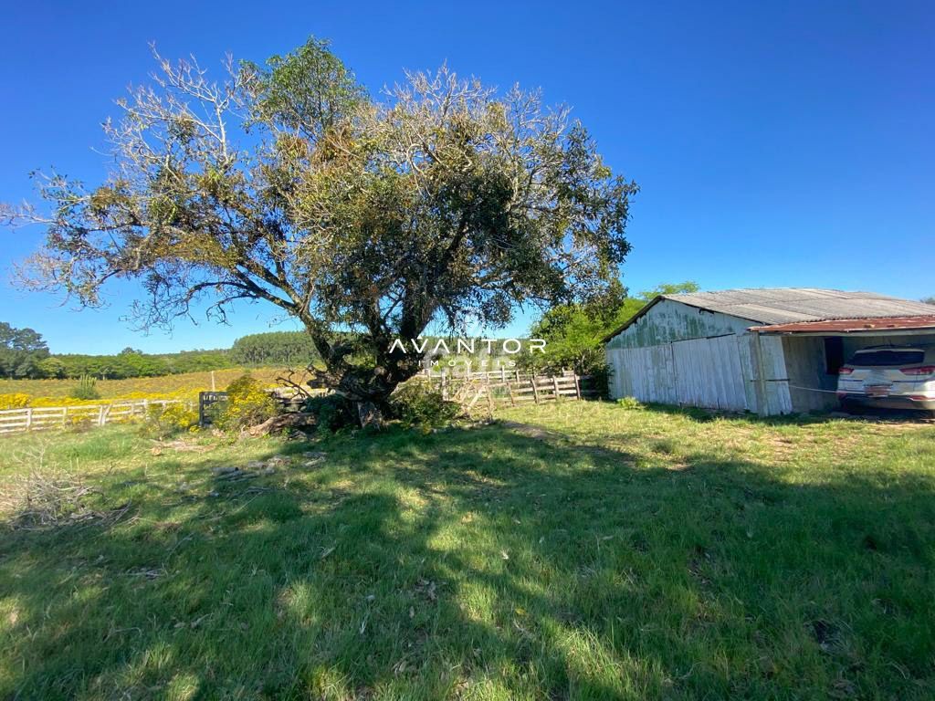 Chácara com 4 quartos à venda em Zona rural, Vila Nova do Sul/RS — foto 24 de 26