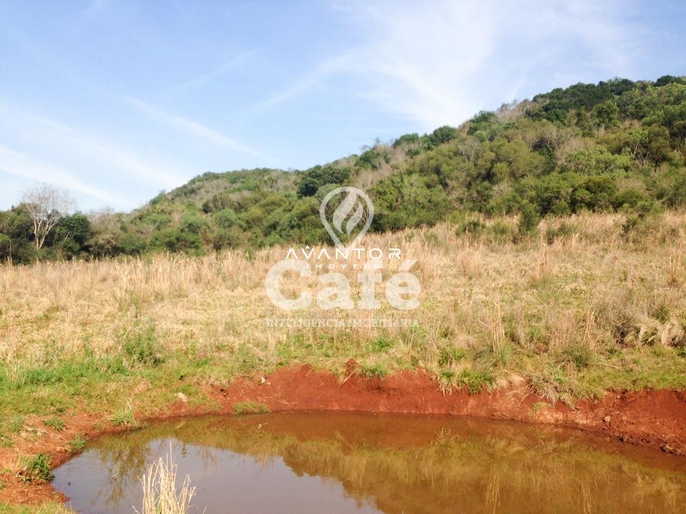 Campo à venda em Ernesto Alves, Santiago/RS — foto 2 de 7