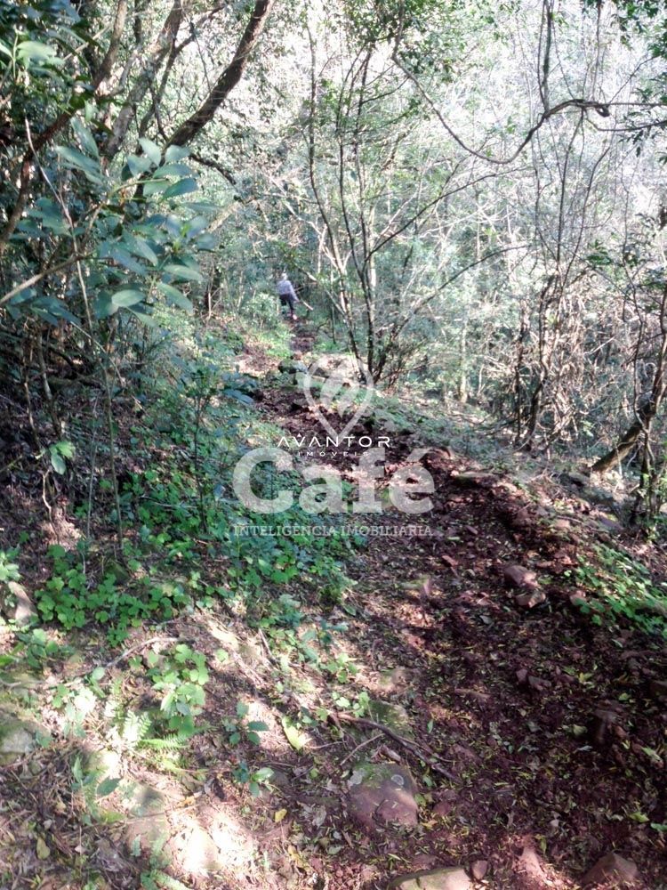 Campo à venda em Ernesto Alves, Santiago/RS — foto 5 de 7
