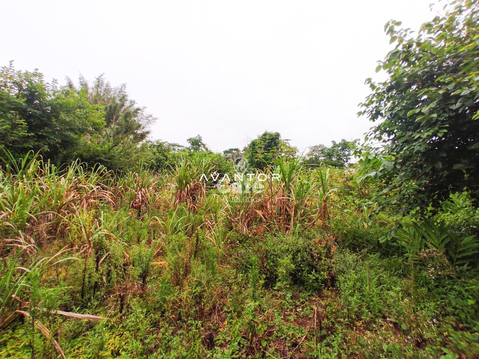 Terreno com 2.534 m² distrito de palma Estrada do Radar — Terreno à venda em Zona rural, Santa Maria/RS