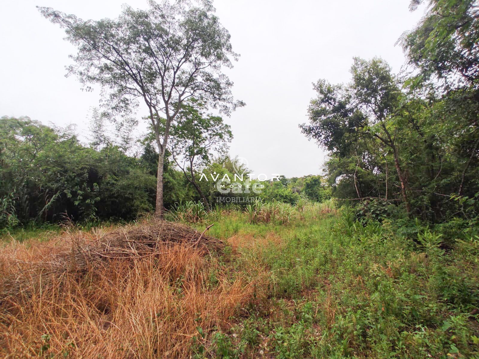 Terreno com 2.534 m² distrito de palma Estrada do Radar — Terreno à venda em Zona rural, Santa Maria/RS