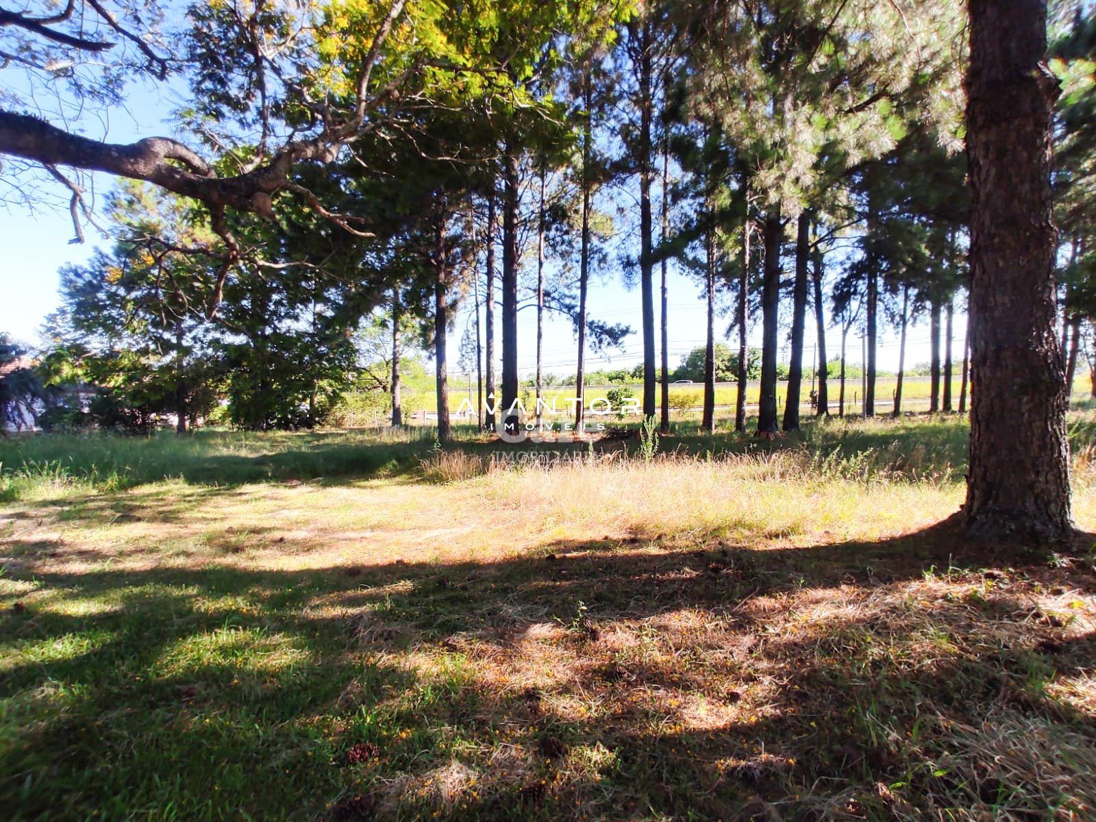 Terreno à venda em Pé de Plátano, Santa Maria/RS — foto 3 de 34