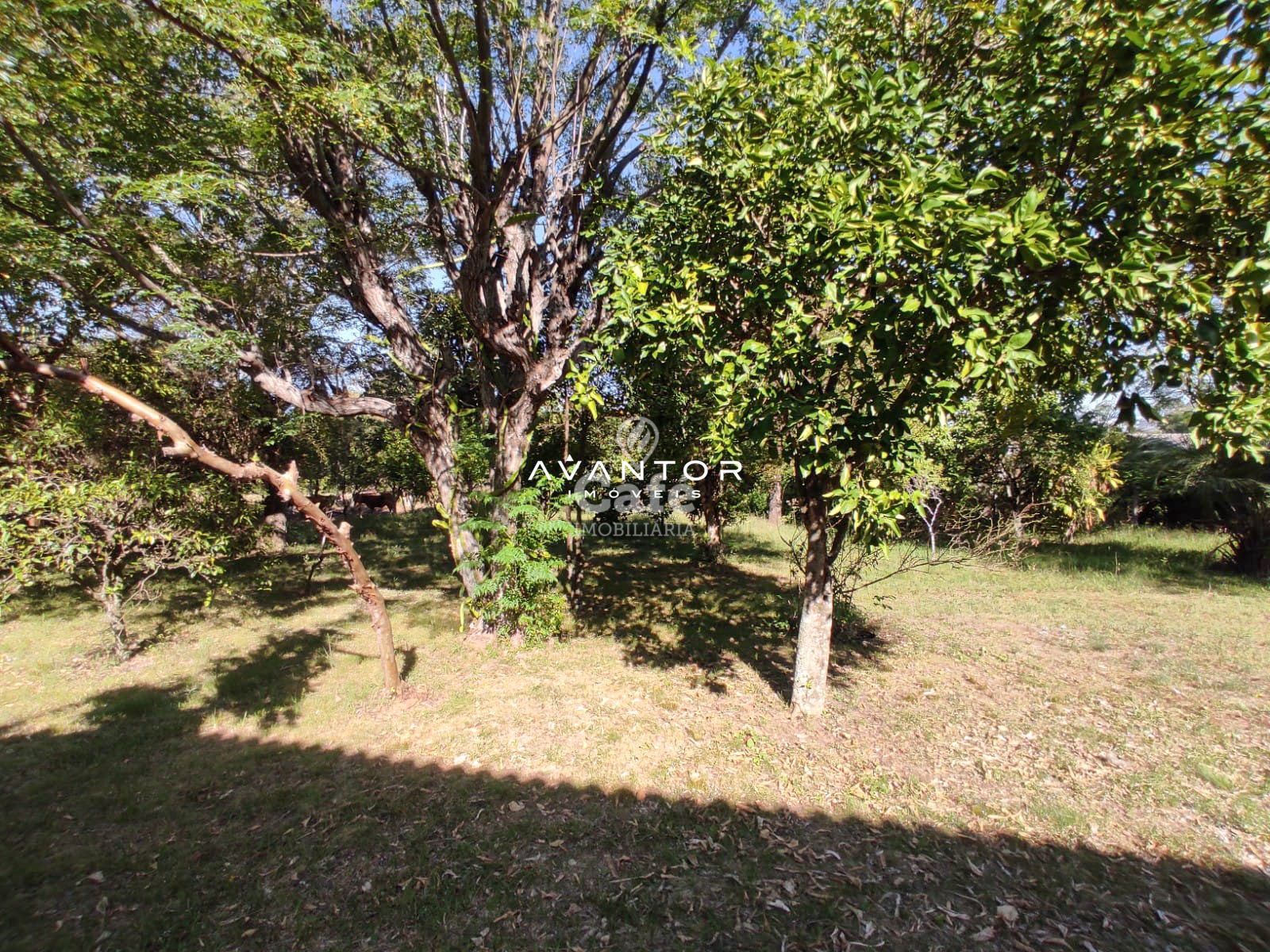 Terreno à venda em Pé de Plátano, Santa Maria/RS — foto 15 de 34