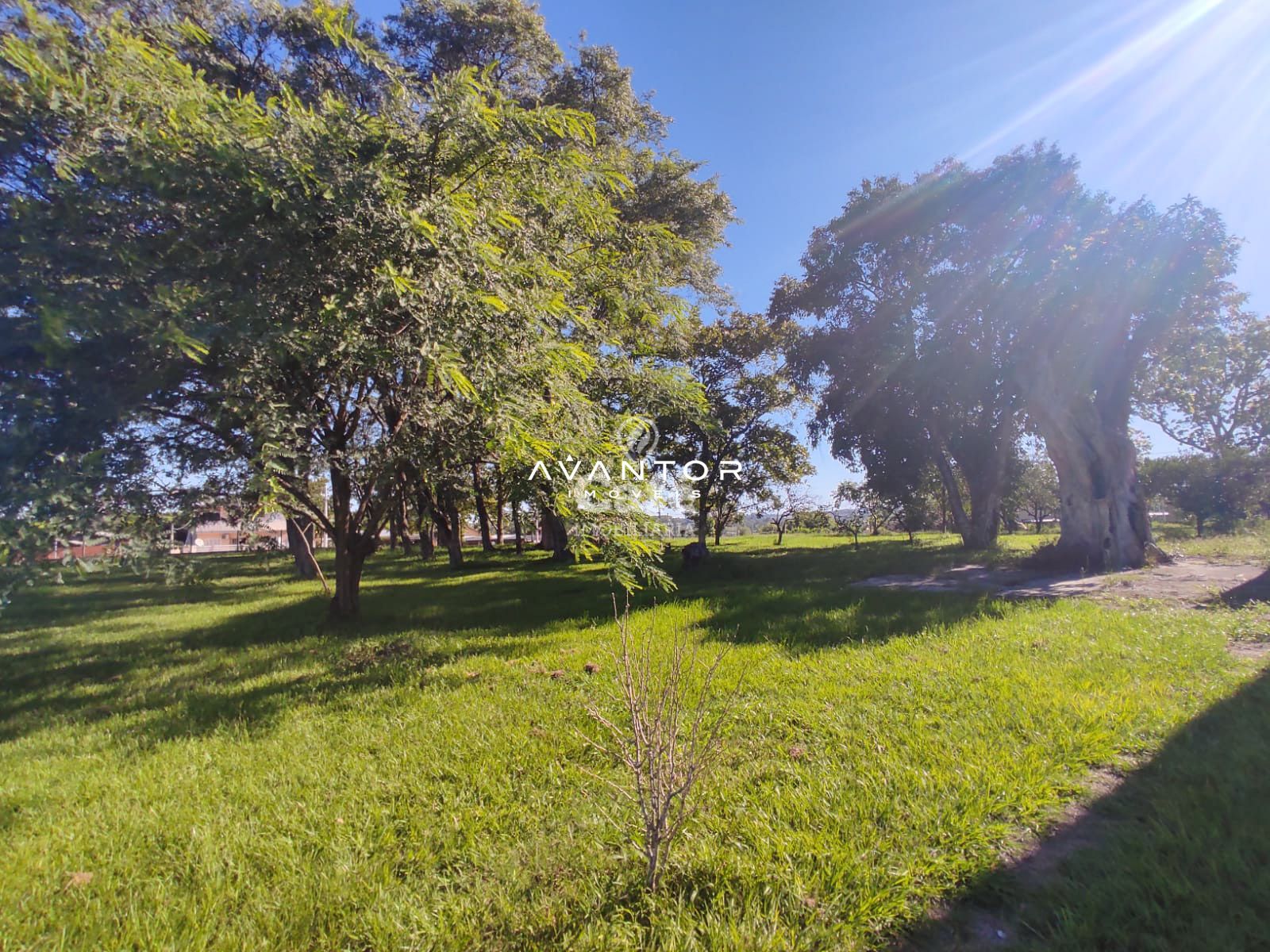 Ótima oportunidade de adquirir seu próprio terreno — Terreno à venda em Pinheiro Machado, Santa Maria/RS