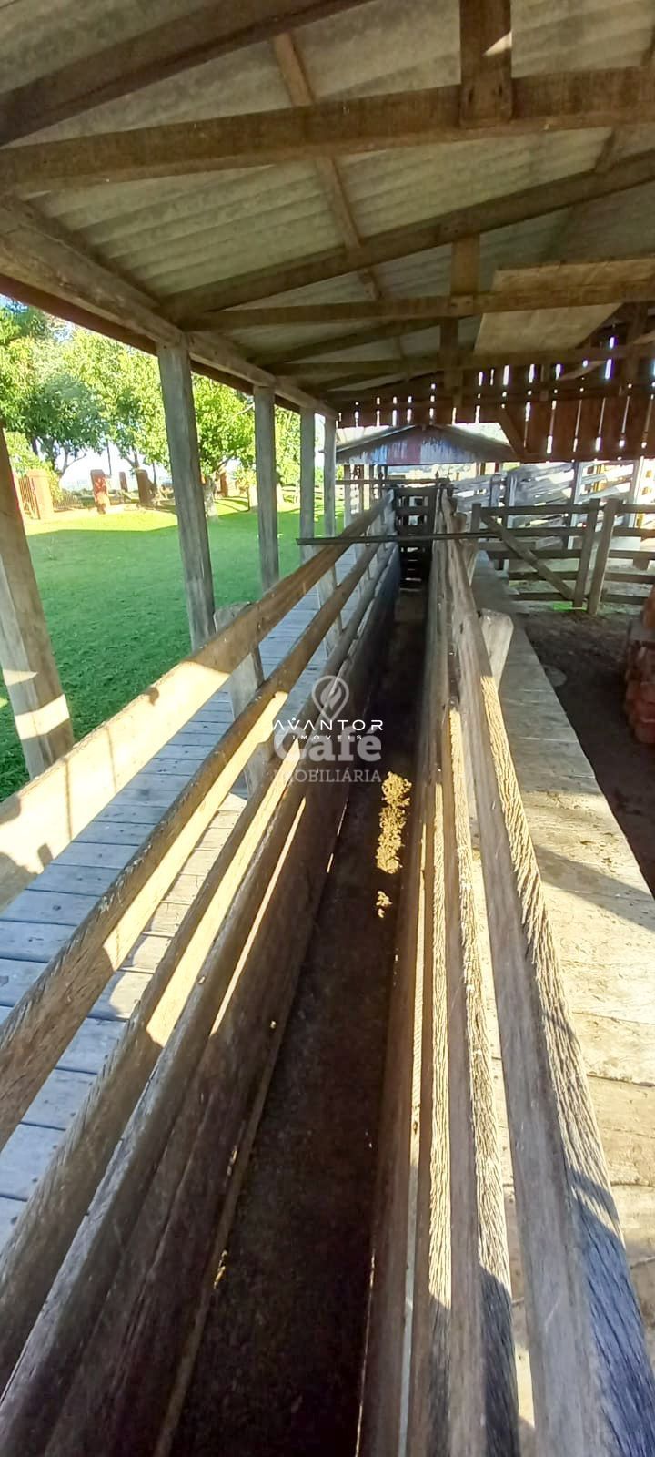 Campo à venda em Pinheiro Machado, Santa Maria/RS — foto 5 de 20