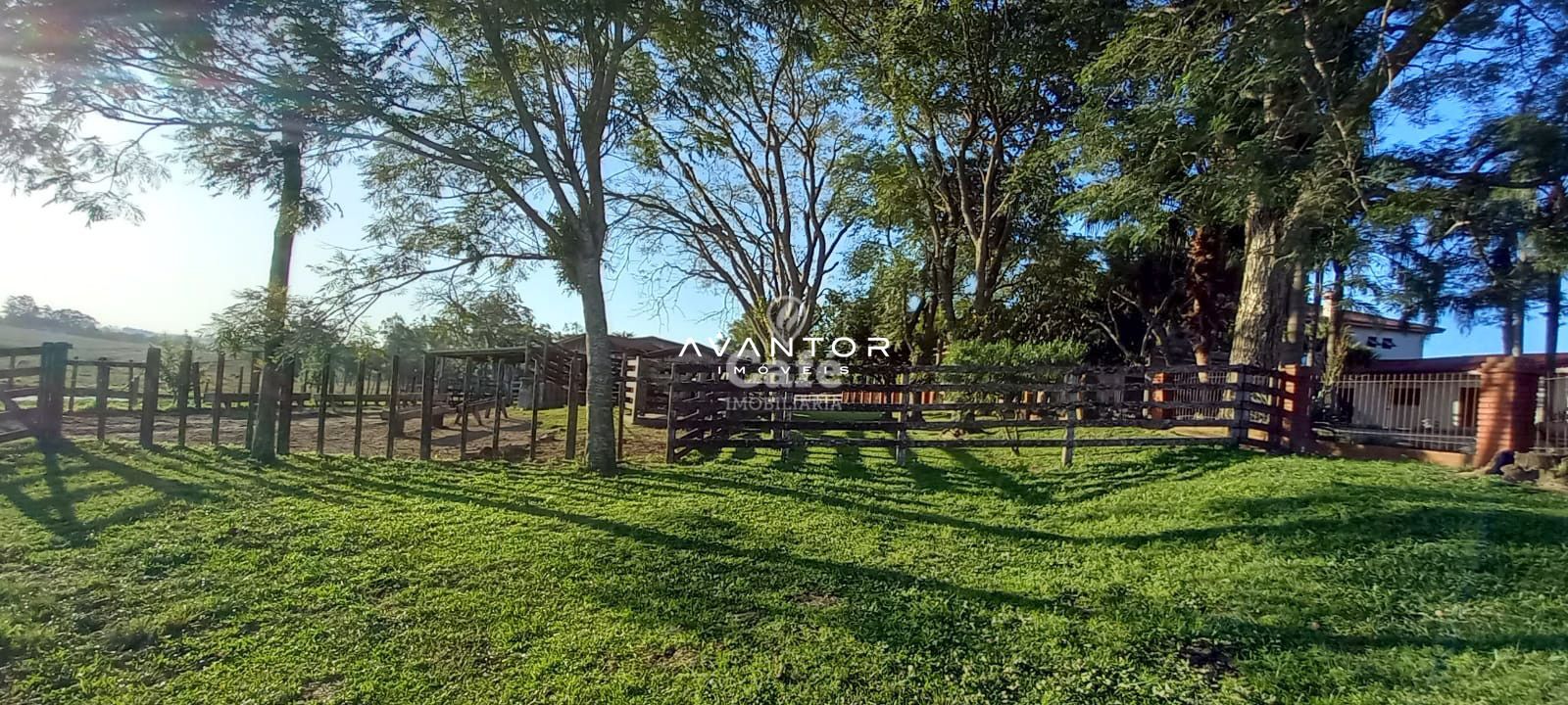 Campo à venda em Pinheiro Machado, Santa Maria/RS — foto 8 de 20