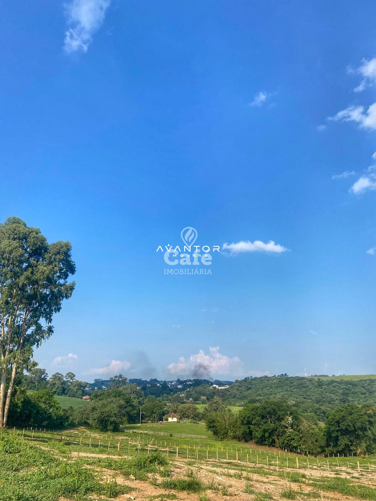 Campo à venda em Zona rural, Silveira Martins/RS — foto 3 de 6