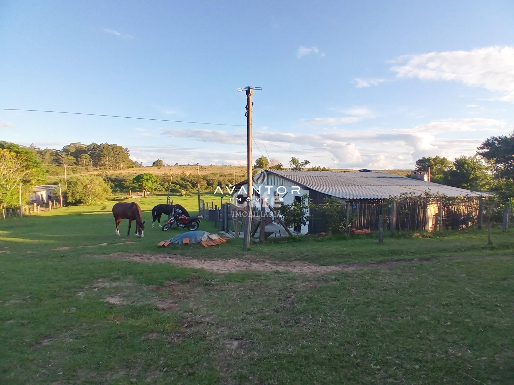 Chácara com 2 quartos à venda em Boi Morto, Santa Maria/RS — foto 12 de 14