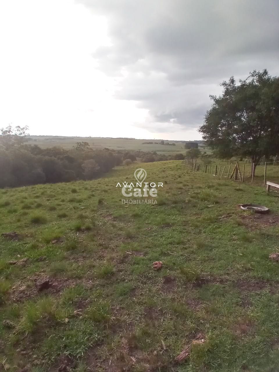 Chácara com 2 quartos à venda em Interior, Dilermando de Aguiar/RS — foto 8 de 20