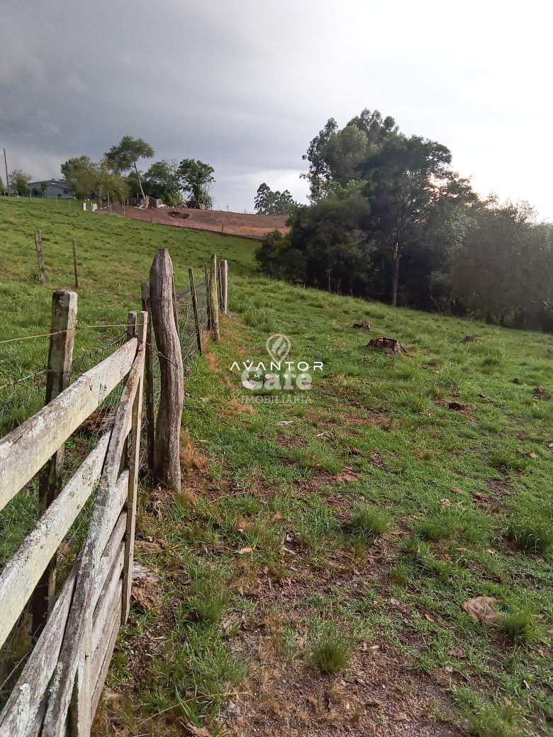 Chácara com 2 quartos à venda em Interior, Dilermando de Aguiar/RS — foto 11 de 20