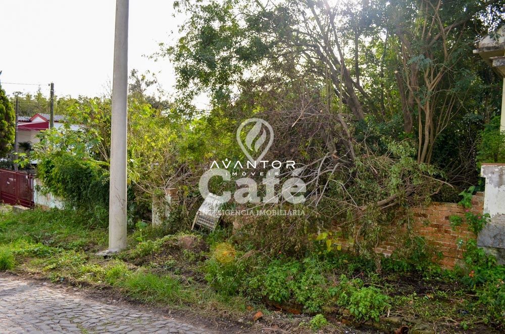 Terreno à venda em Nossa Senhora do Rosário, Santa Maria/RS — foto 3 de 5