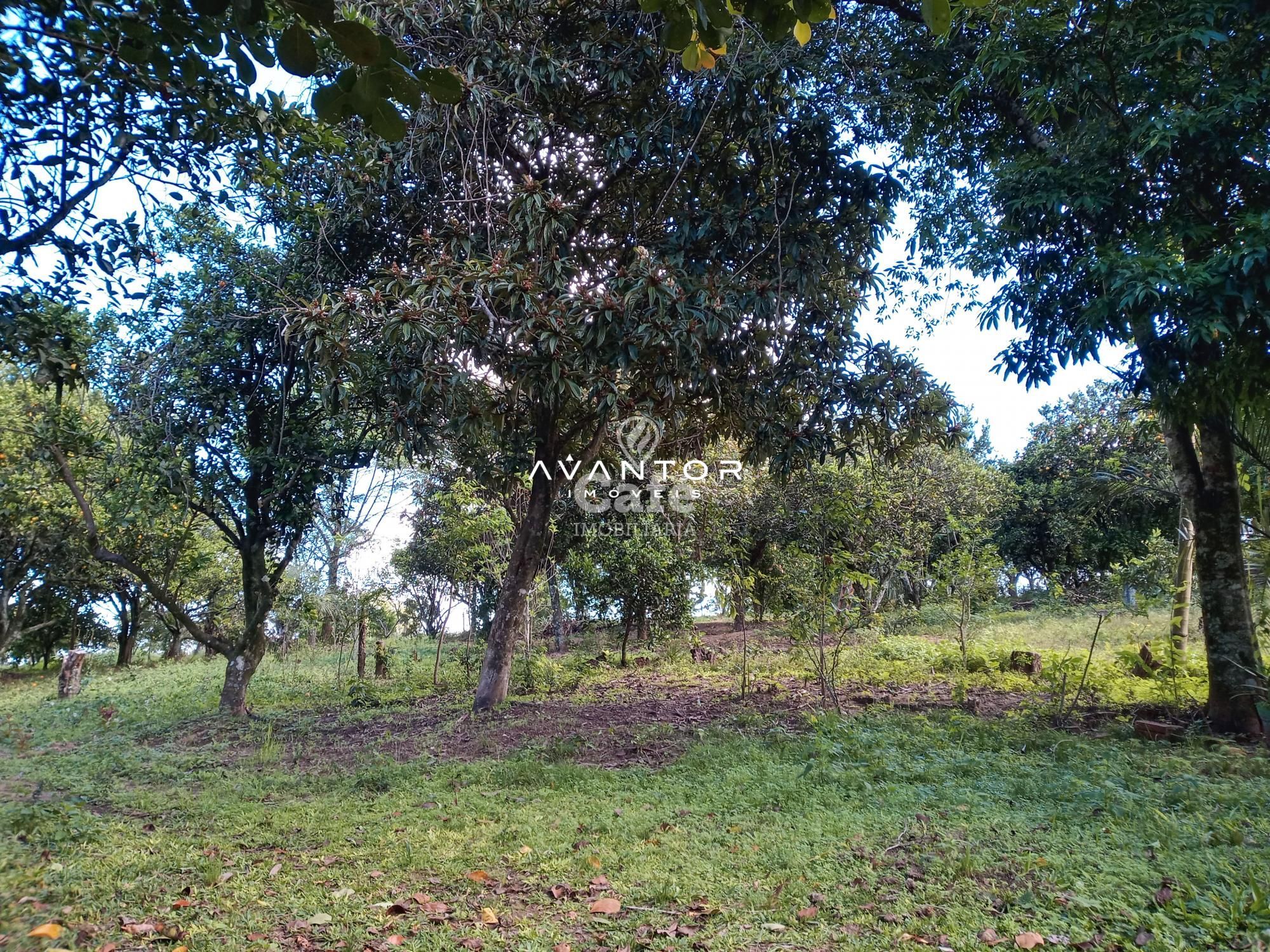 Chácara com 2 quartos à venda em Zona Rural, São Valentim/RS — foto 11 de 43