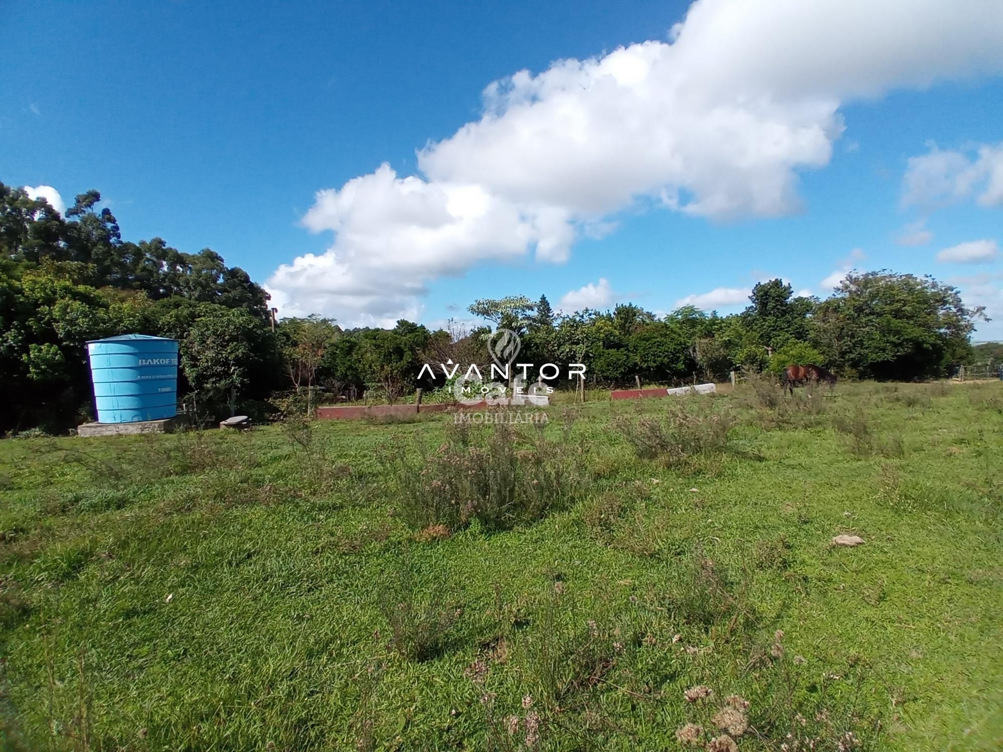 Chácara com 2 quartos à venda em Zona Rural, São Valentim/RS — foto 29 de 43