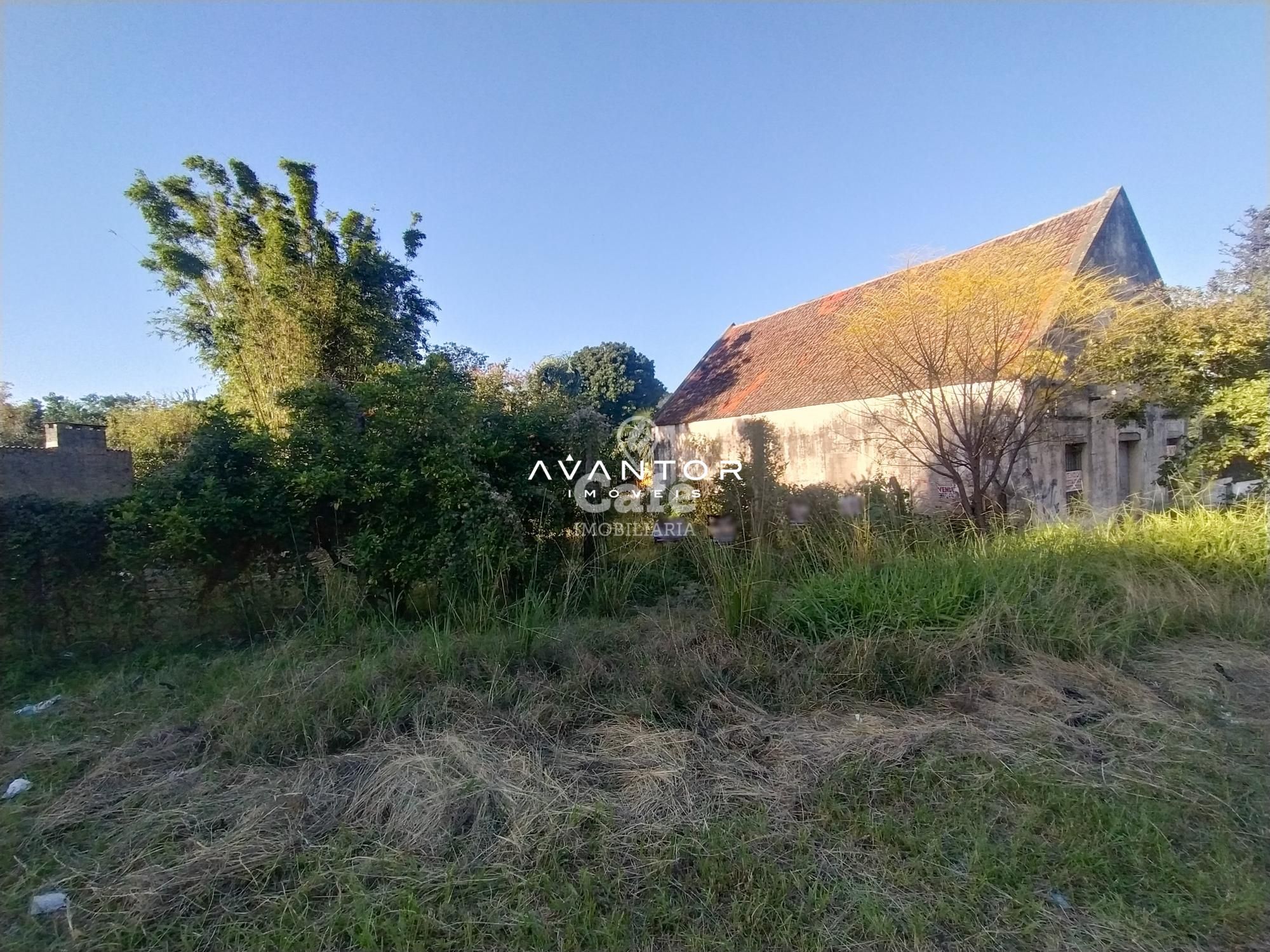 Terreno à venda em Nossa Senhora das Dores, Santa Maria/RS — foto 3 de 3