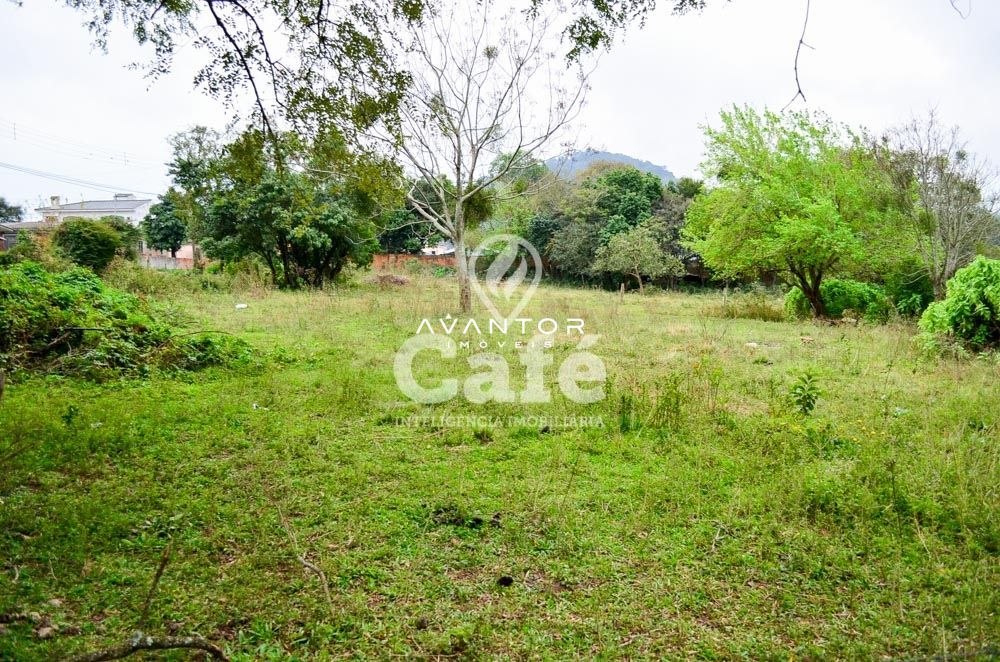 Terreno à venda em Presidente João Goulart, Santa Maria/RS — foto 2 de 7