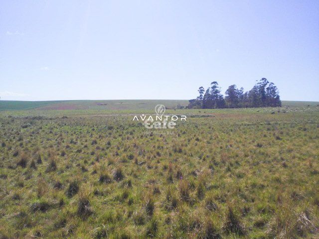 Campo à venda em Itu, Santiago/RS — foto 2 de 3
